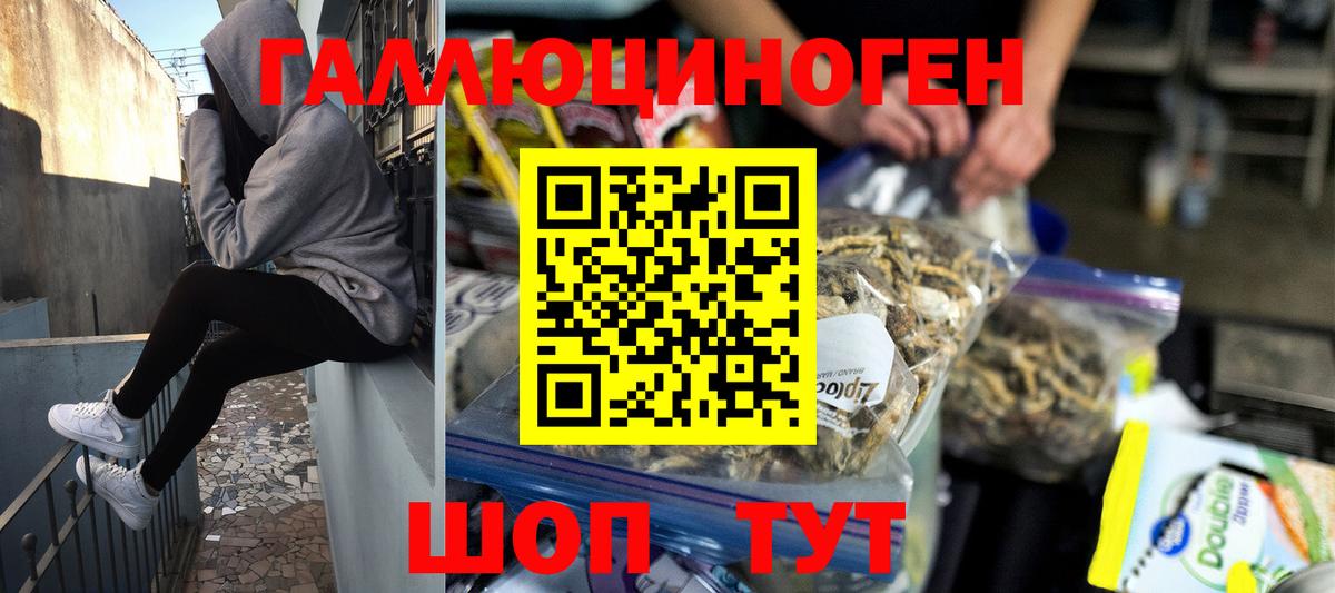 Холмск  Галлюциногенные грибы Psilocybe  Галлюциногенные грибы ЛСД  Вход с VPN 