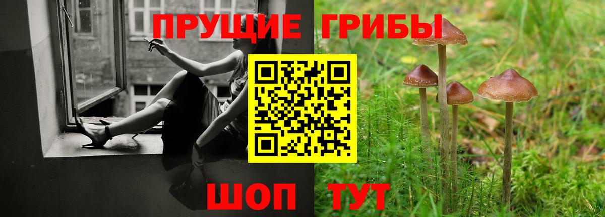 Псилоцибиновые грибы ЛСД Холмск